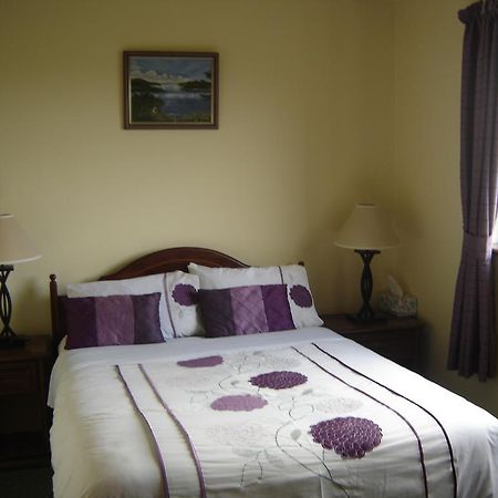 Bed and Breakfast Springlawn Clarinbridge Pokoj fotografie