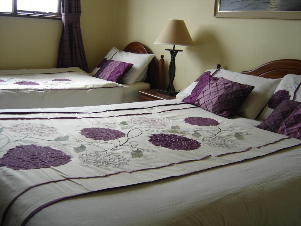 Bed and Breakfast Springlawn Clarinbridge Pokoj fotografie